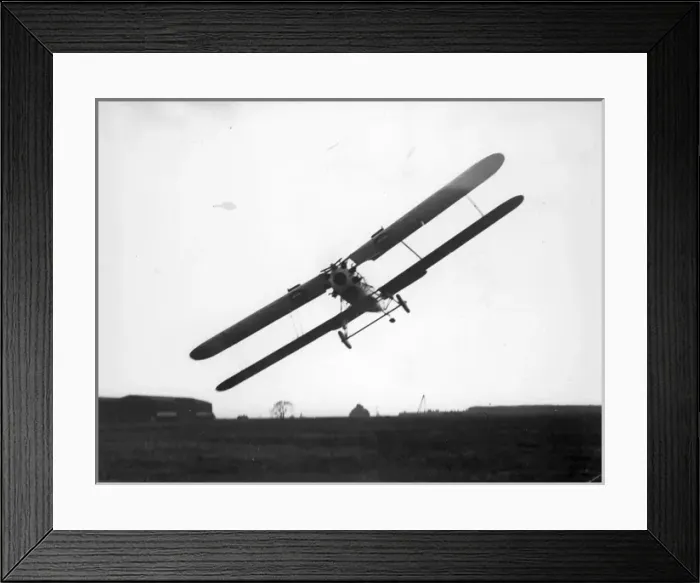 Framed Print : Short Springbok I Framed Print : Short Springbok I
