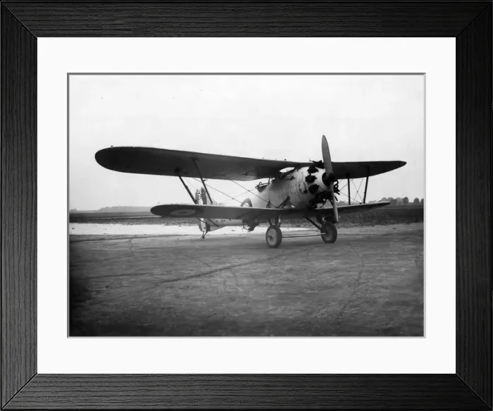 Framed Print : Short S3b Chamois J7295 Framed Print : Short S3b Chamois J7295