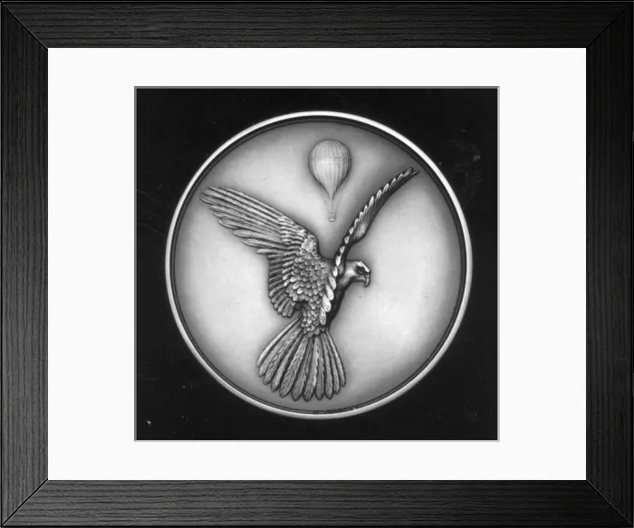 Framed Print : N E Rowe Medal