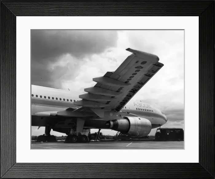 Framed Print : Airbus A300B Framed Print : Airbus A300B