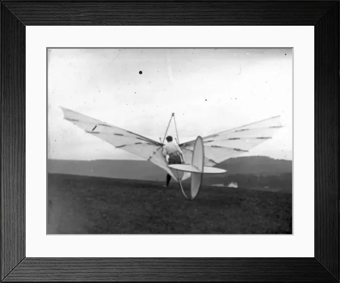 Framed Print : Pilcher Bat Framed Print : Pilcher Bat