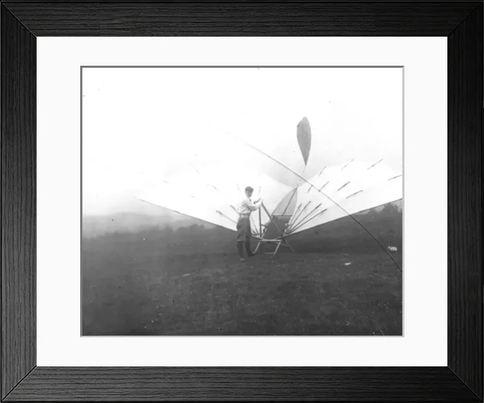 Framed Print : Pilcher Bat Framed Print : Pilcher Bat