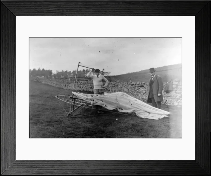 Framed Print : Pilcher Gull Framed Print : Pilcher Gull