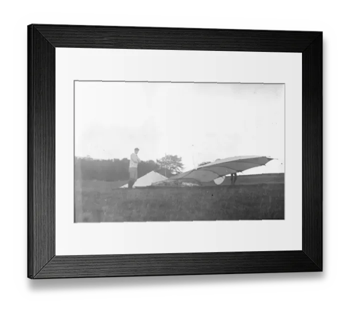 Framed Print : Pilcher Gull Framed Print : Pilcher Gull