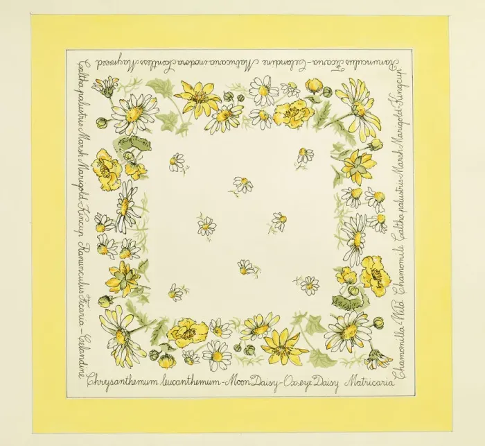 Framed Print : 13343098 Framed Print : 13343098