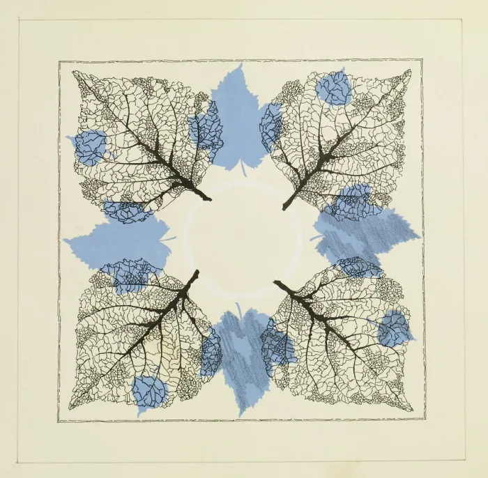 Framed Print : 13343180 Framed Print : 13343180