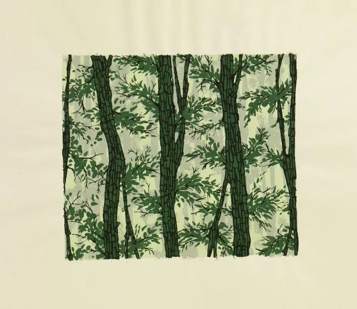 Framed Print : 13343181 Framed Print : 13343181