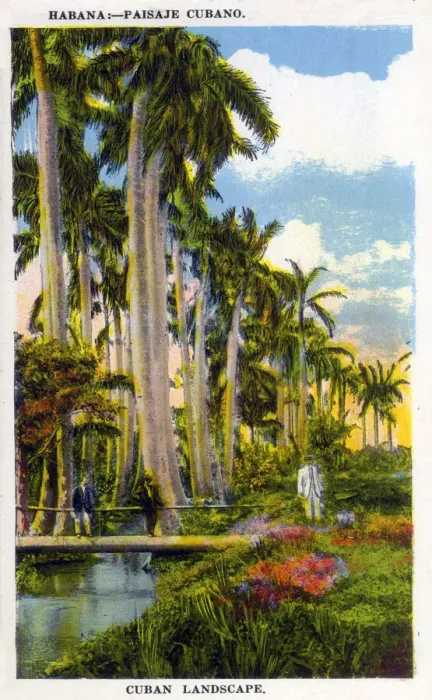 Framed Print : 13418543 Framed Print : 13418543