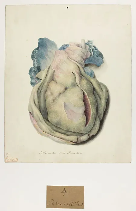 Framed Print : 13741347 Framed Print : 13741347