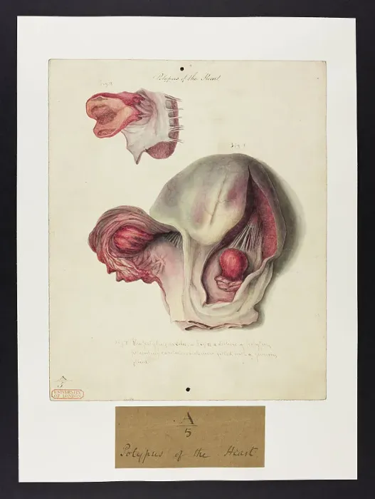 Framed Print : 13741351 Framed Print : 13741351