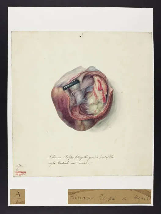 Framed Print : 13741352 Framed Print : 13741352