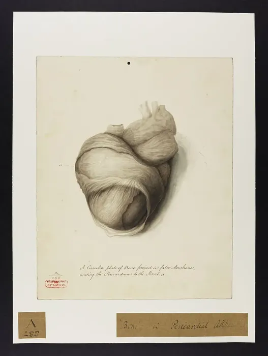 Framed Print : 13741363 Framed Print : 13741363