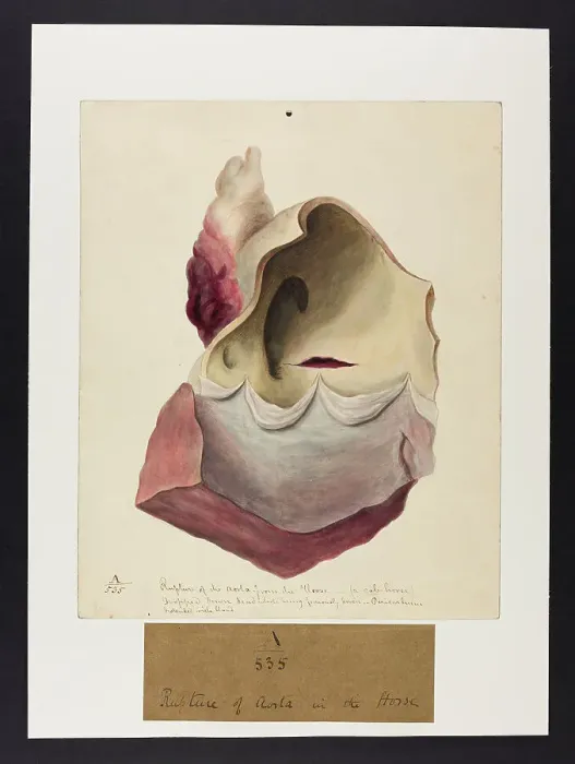 Framed Print : 13741377 Framed Print : 13741377