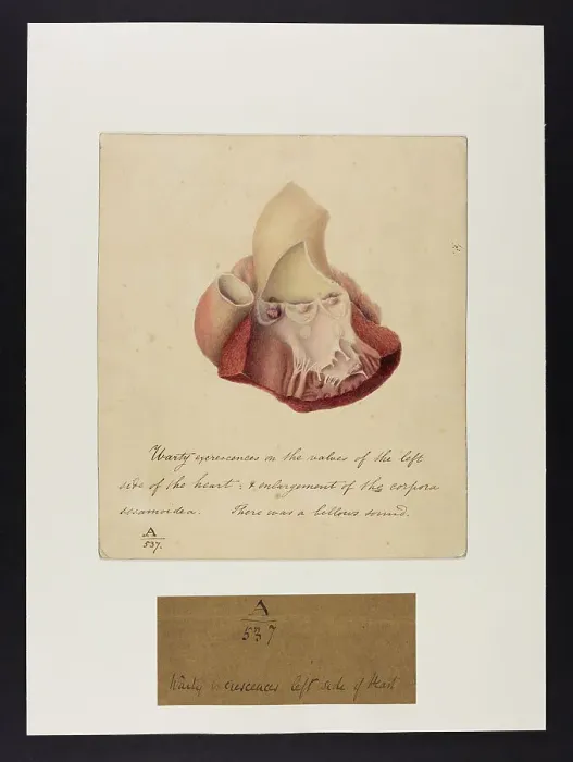 Framed Print : 13741379 Framed Print : 13741379