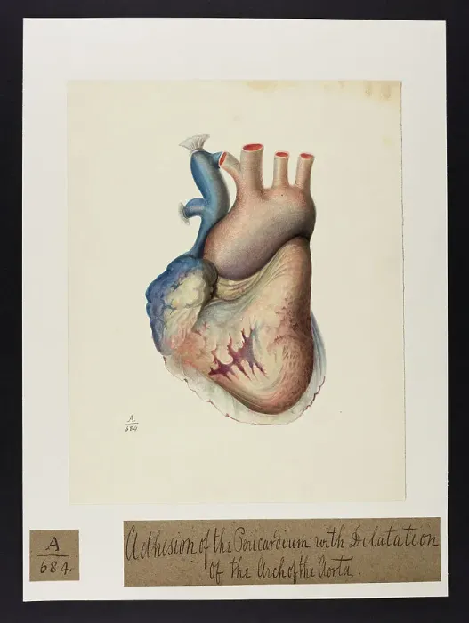 Framed Print : 13741382 Framed Print : 13741382