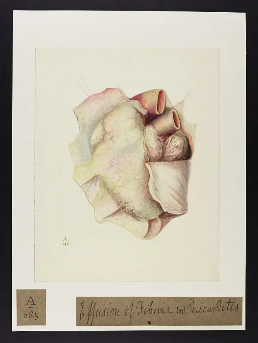 Framed Print : 13741383 Framed Print : 13741383