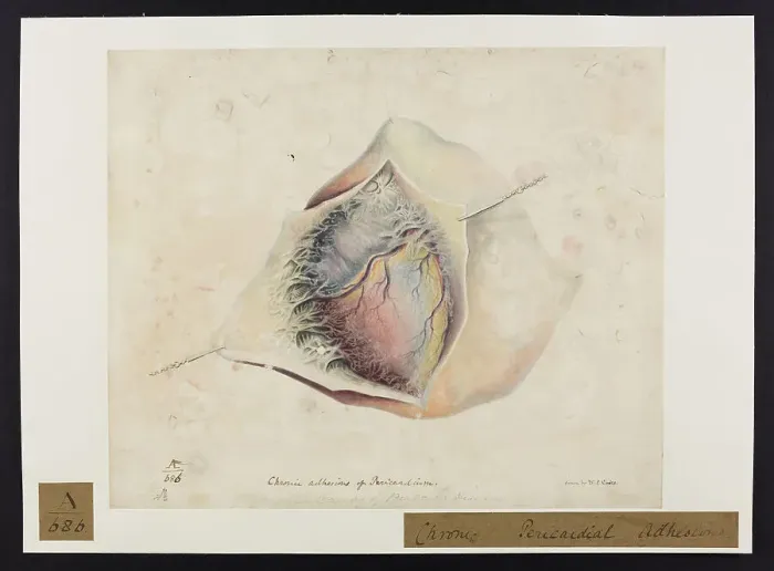 Framed Print : 13741384 Framed Print : 13741384