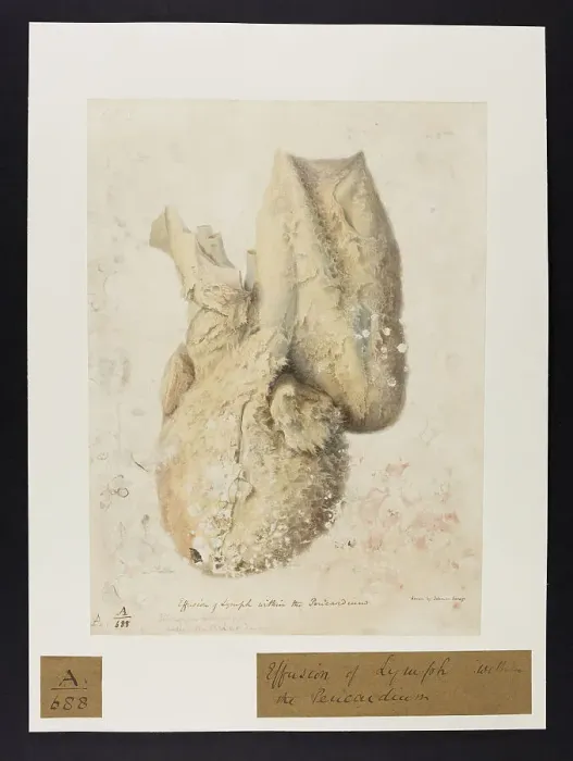 Framed Print : 13741386 Framed Print : 13741386