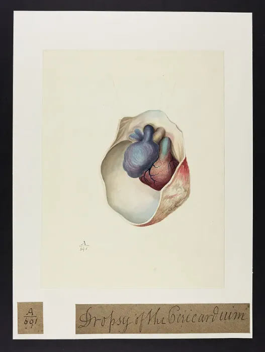 Framed Print : 13741389 Framed Print : 13741389