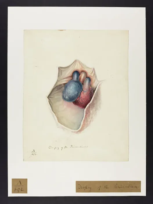 Framed Print : 13741390 Framed Print : 13741390