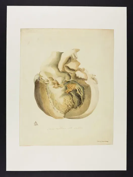 Framed Print : 13741394 Framed Print : 13741394