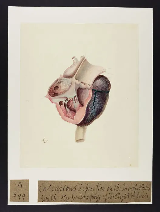 Framed Print : 13741397 Framed Print : 13741397