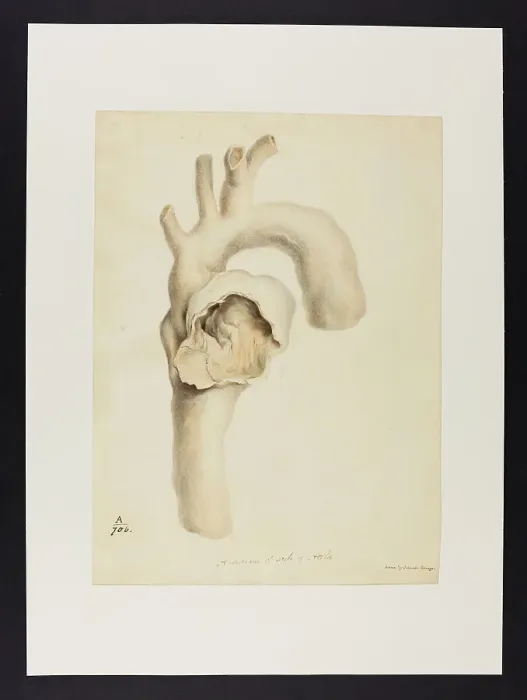 Framed Print : 13741404 Framed Print : 13741404