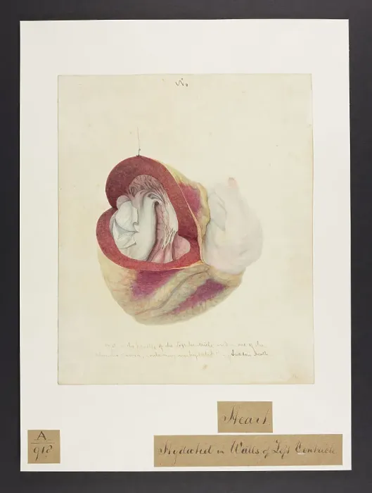 Framed Print : 13741413 Framed Print : 13741413