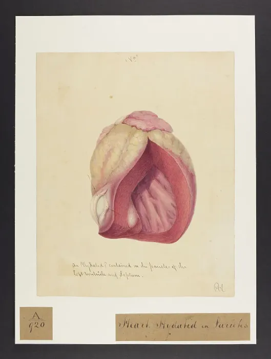 Framed Print : 13741415 Framed Print : 13741415