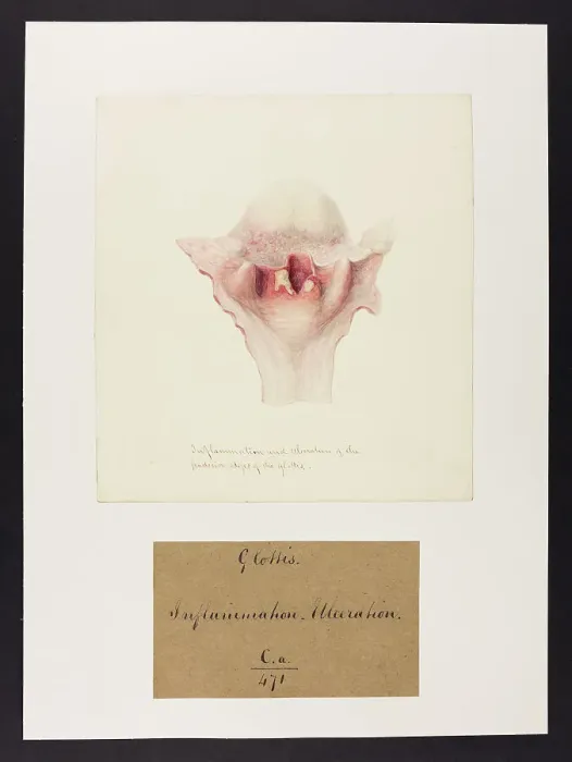 Framed Print : 13741467