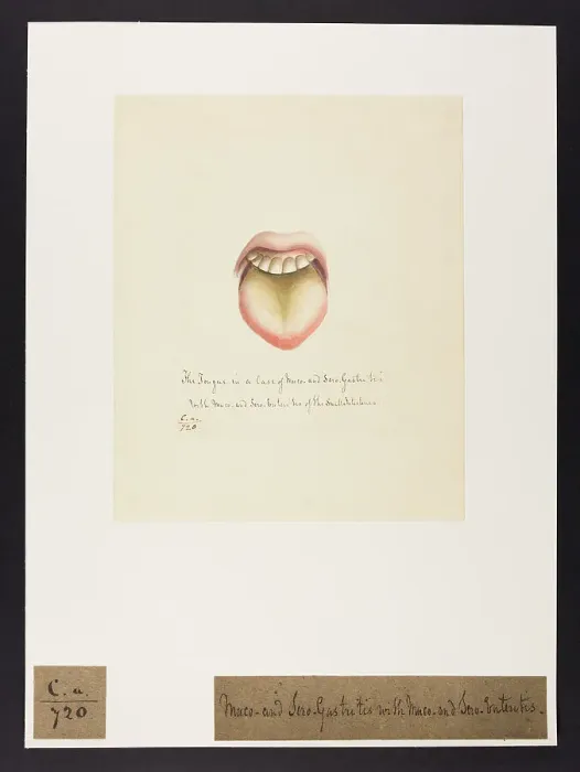 Framed Print : 13741483 Framed Print : 13741483