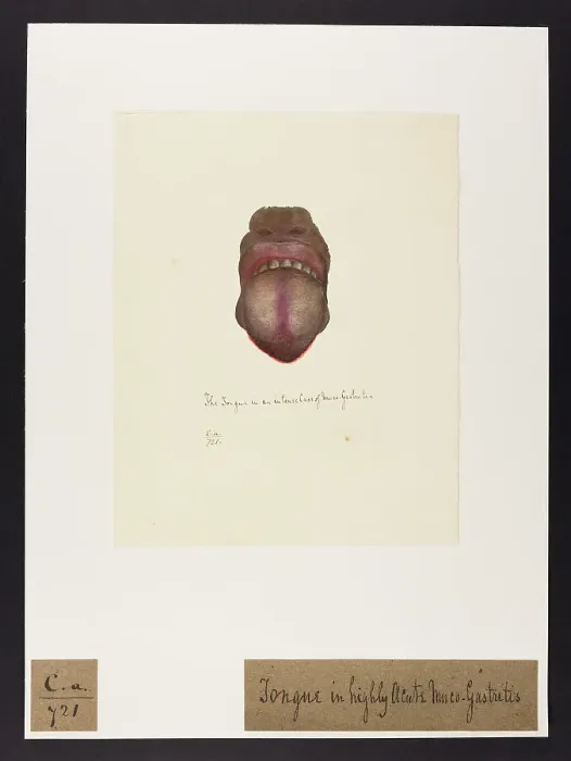 Framed Print : 13741484 Framed Print : 13741484