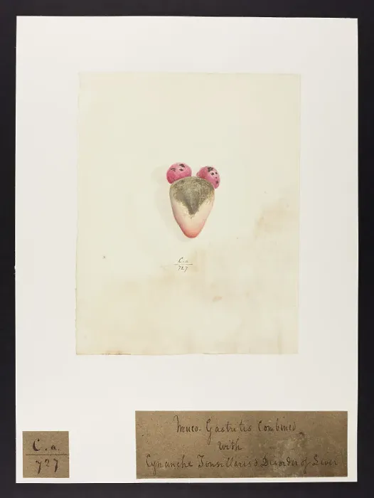 Framed Print : 13741490 Framed Print : 13741490