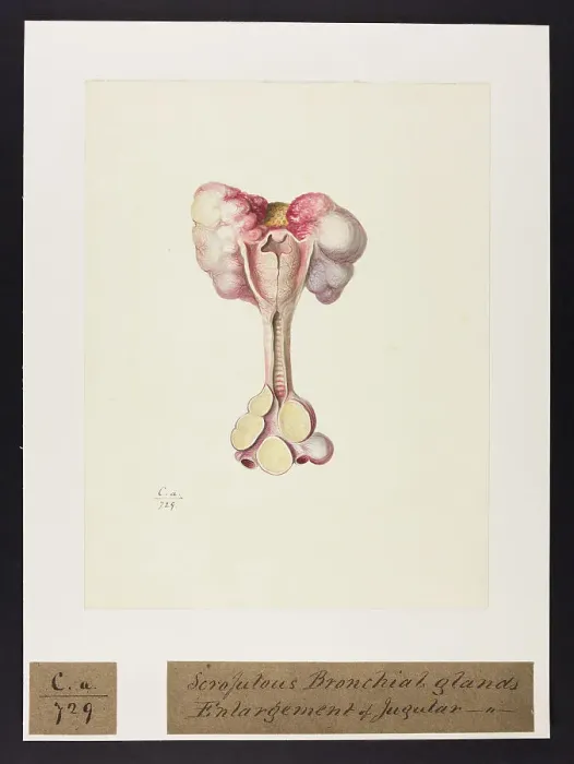 Framed Print : 13741492 Framed Print : 13741492