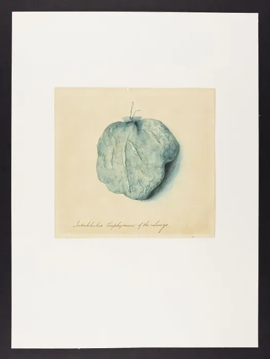 Framed Print : 13741505 Framed Print : 13741505