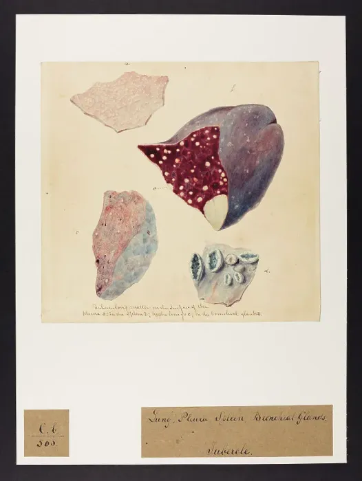 Framed Print : 13741549 Framed Print : 13741549
