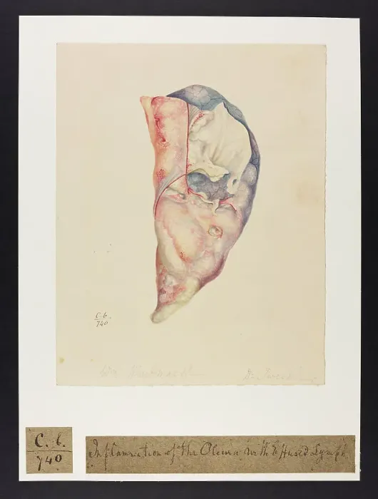 Framed Print : 13741571 Framed Print : 13741571