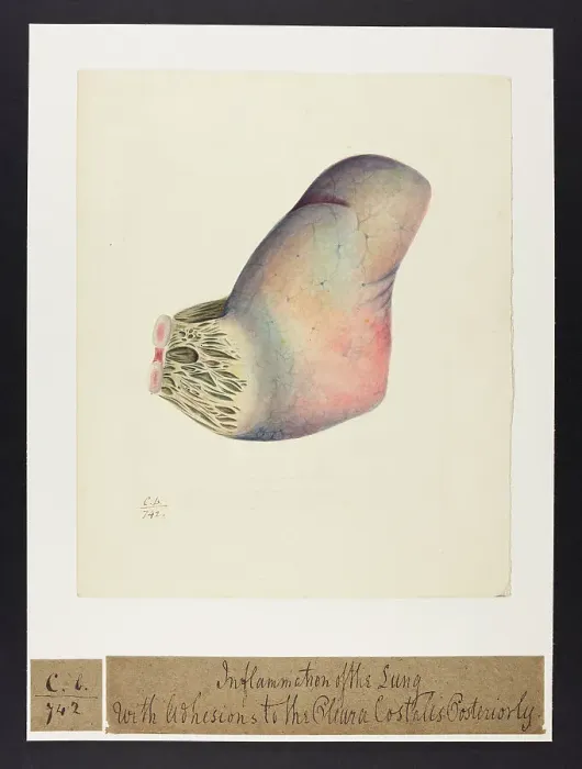Framed Print : 13741573 Framed Print : 13741573