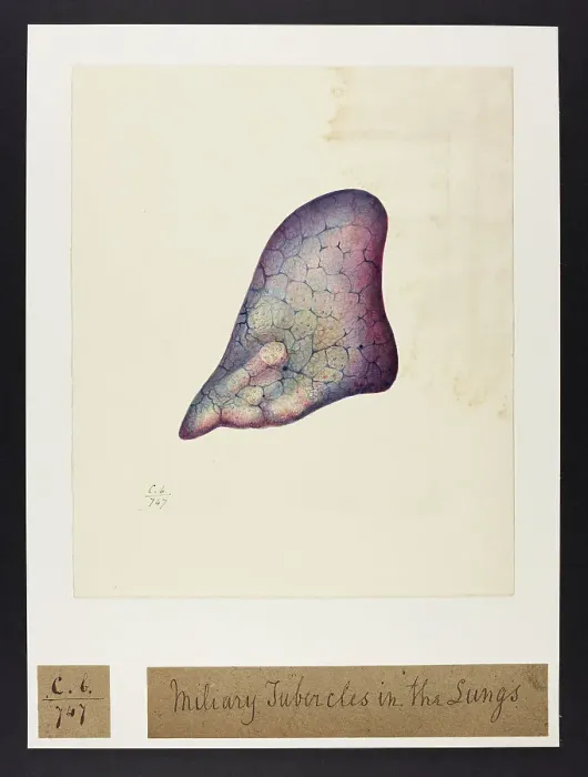 Framed Print : 13741577 Framed Print : 13741577