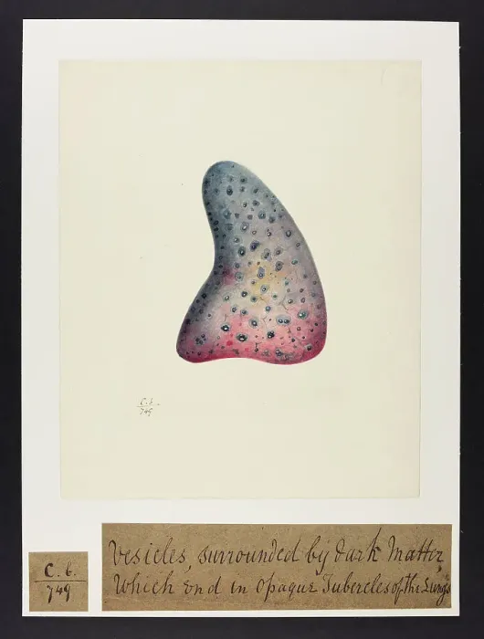 Framed Print : 13741579 Framed Print : 13741579
