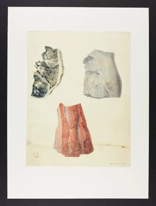 Framed Print : 13741590