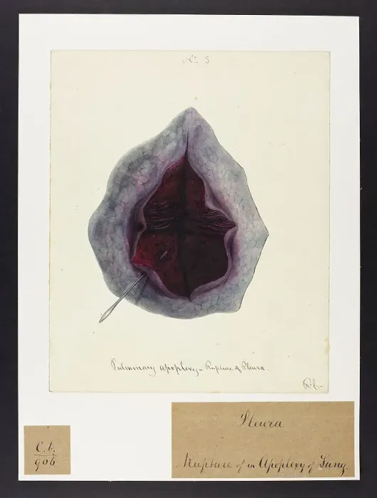 Framed Print : 13741615 Framed Print : 13741615
