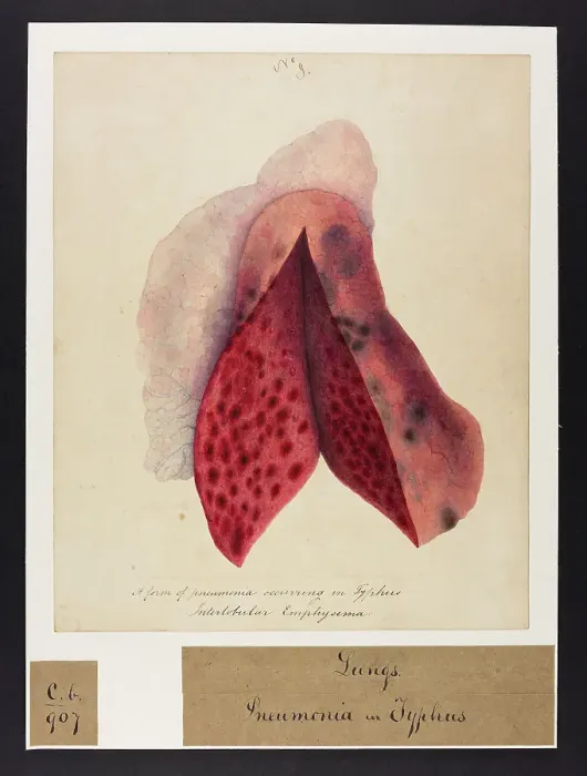 Framed Print : 13741616 Framed Print : 13741616