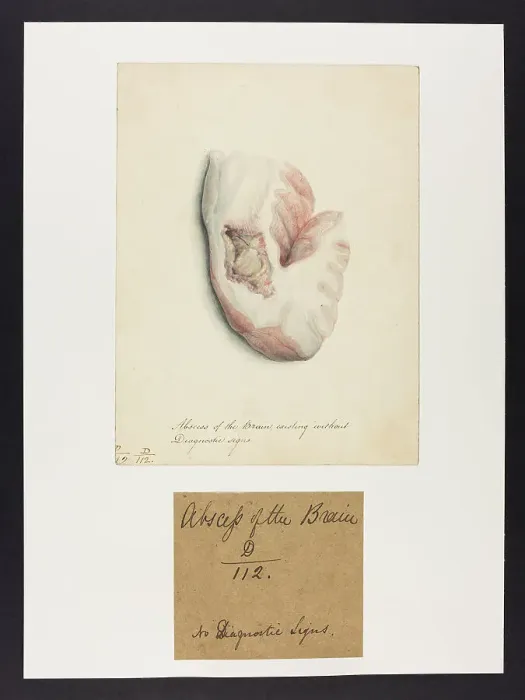 Framed Print : 13741629 Framed Print : 13741629
