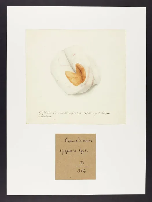 Framed Print : 13741648