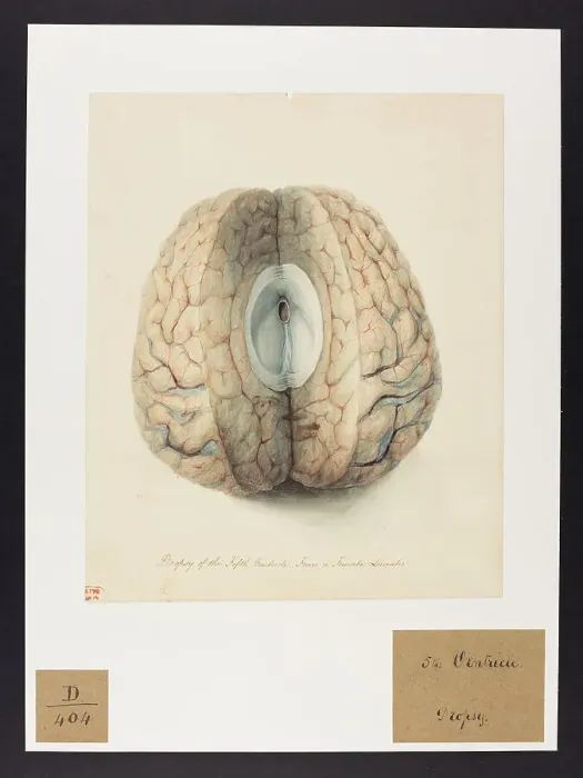 Framed Print : 13741662