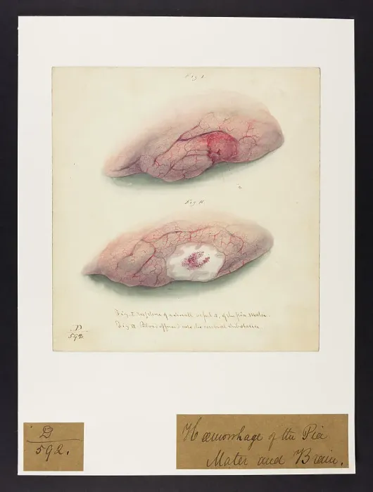 Framed Print : 13741681 Framed Print : 13741681