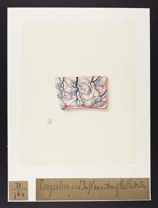 Framed Print : 13741688 Framed Print : 13741688