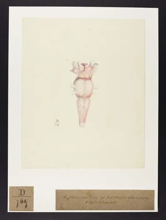 Framed Print : 13741692 Framed Print : 13741692