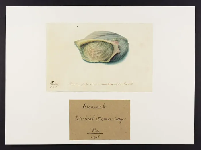 Framed Print : 13741724 Framed Print : 13741724